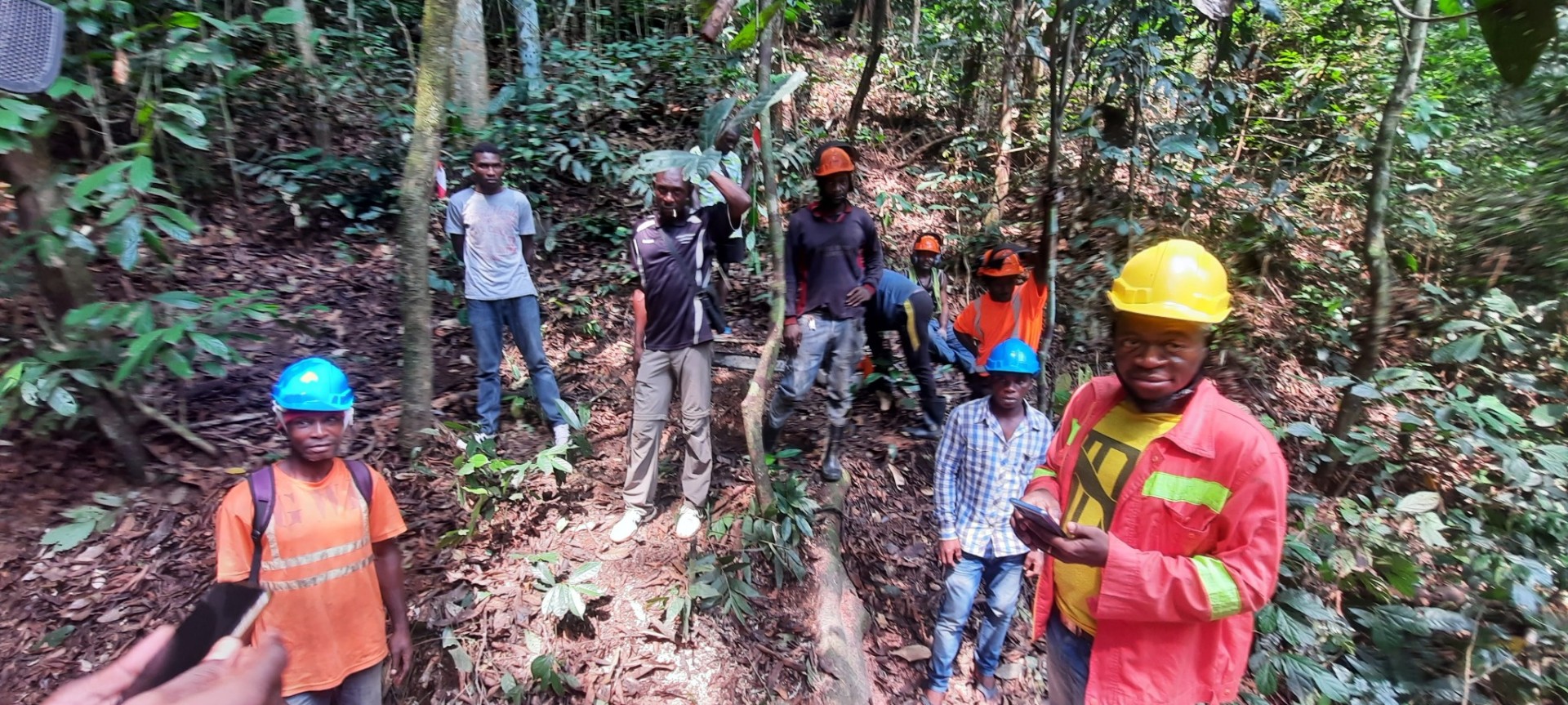 Groupe d'opérateurs forestiers sur un site en forêt tropicale, casques et vêtements de travail