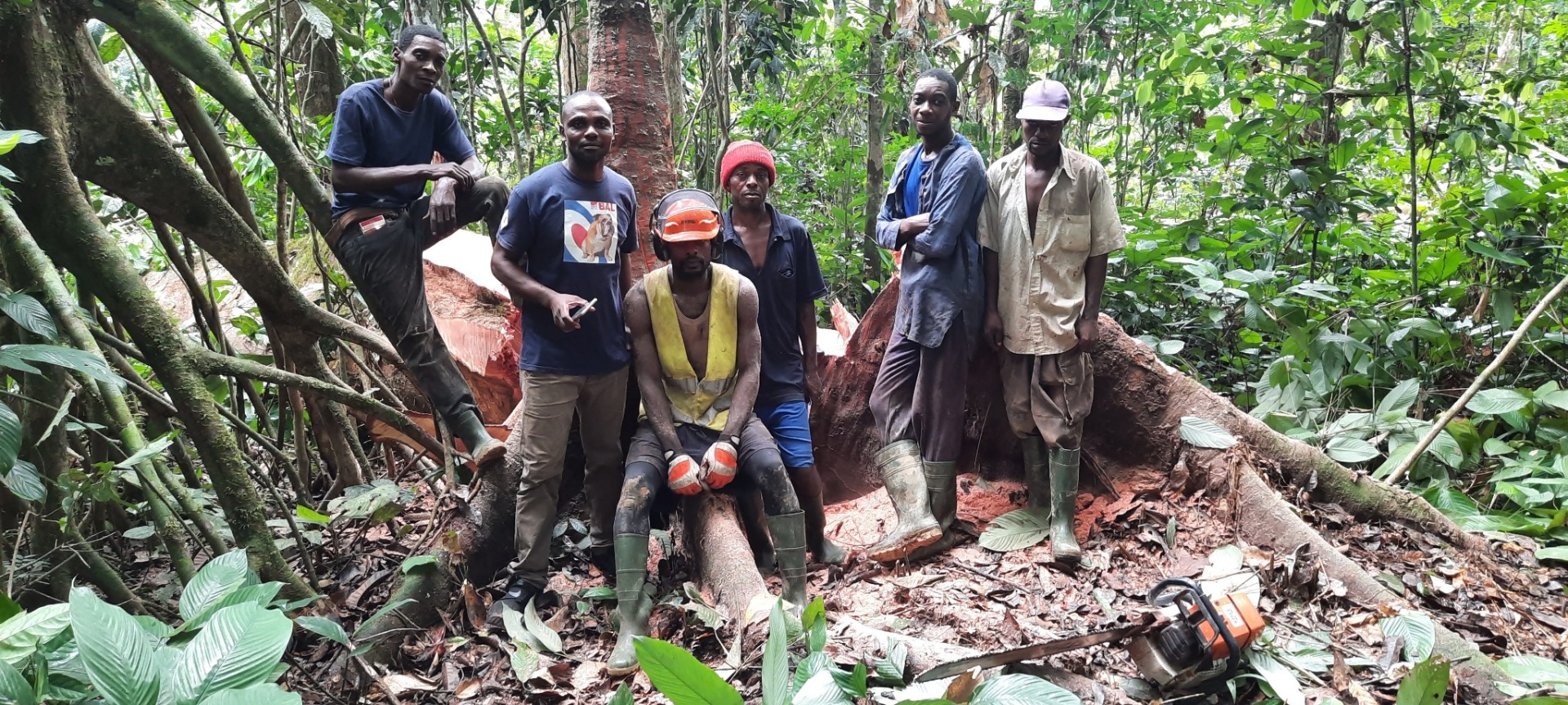 Équipe forestière rassemblée en fin d'intervention autour d'un arbre abattu en forêt tropicale